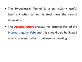 • The Hypoglossal Tunnel is a particularly useful
landmark when tumour is stuck near the carotid
bifurcation.
• The Occipital Artery crosses the Posterior Part of the
Internal Jugular Vein and this should also be ligated
now to prevent further troublesome bleeding.
 