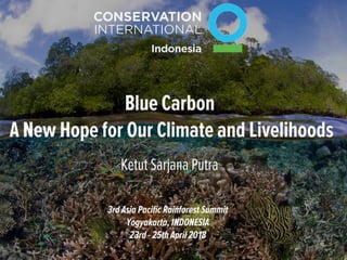 Blue carbon – A new hope for our climate and livelihoods 