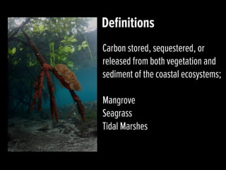 Blue carbon – A new hope for our climate and livelihoods 