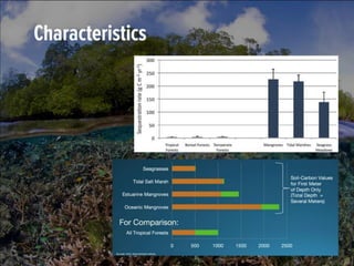 Blue carbon – A new hope for our climate and livelihoods 
