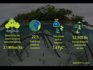 Blue carbon – A new hope for our climate and livelihoods 