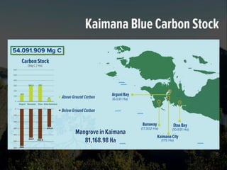 Blue carbon – A new hope for our climate and livelihoods 