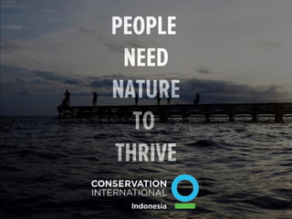 Blue carbon – A new hope for our climate and livelihoods 