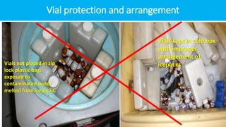 Vial protection and arrangement
Vials not placed in zip
lock plastic bag;
exposed to
contaminated water
melted from icepacks.
Vials kept in cold box
with improper
arrangement of
icepacks
 