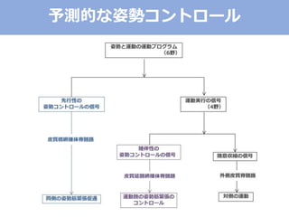 予測的な姿勢コントロール
 