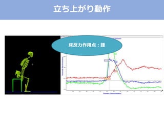 立ち上がり動作
床反力作用点：踵
 