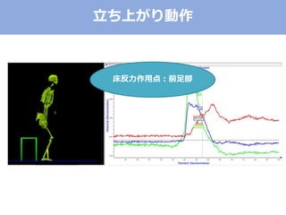 立ち上がり動作
床反力作用点：前足部
 