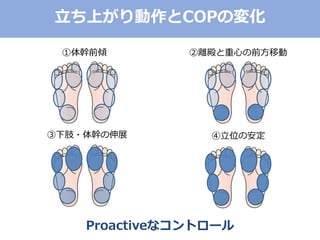 ①体幹前傾 ②離殿と重心の前方移動
③下肢・体幹の伸展 ④立位の安定
立ち上がり動作とCOPの変化
Proactiveなコントロール
 