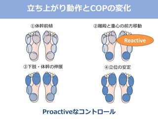 ①体幹前傾 ②離殿と重心の前方移動
③下肢・体幹の伸展 ④立位の安定
立ち上がり動作とCOPの変化
Proactiveなコントロール
Reactive
 