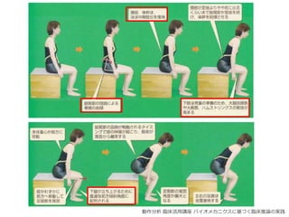動作分析 臨床活用講座 バイオメカニクスに基づく臨床推論の実践
 