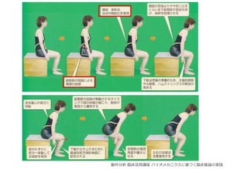 動作分析 臨床活用講座 バイオメカニクスに基づく臨床推論の実践
 