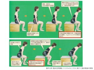 動作分析 臨床活用講座 バイオメカニクスに基づく臨床推論の実践
 