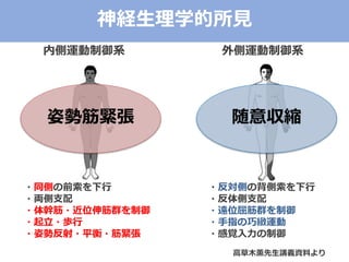 内側運動制御系 外側運動制御系
・同側の前索を下行
・両側支配
・体幹筋・近位伸筋群を制御
・起立・歩行
・姿勢反射・平衡・筋緊張
・反対側の背側索を下行
・反体側支配
・遠位屈筋群を制御
・手指の巧緻運動
・感覚入力の制御
高草木薫先生講義資料より
神経生理学的所見
姿勢筋緊張 随意収縮
 