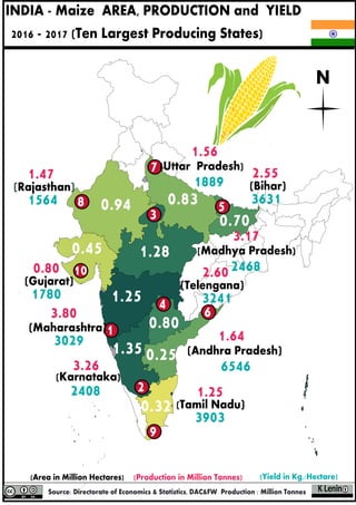 INDIA - Maize AREA, PRODUCTION and YIELD
2016 - 2017 (Ten Largest Producing States)
N
1
2
7
8
9
5
6
(Rajasthan)
1.47
1564
(Karnataka)
3.26
2408
(Maharashtra)
3.80
3029 1.64
6546
(Andhra Pradesh)
3
4
3.17
2468
[Madhya Pradesh)
10
1.56
1889
[Uttar Pradesh)
(Tamil Nadu)
1.25
3903
(Gujarat)
0.80
1780 (Telengana)
2.60
3241
(Bihar)
2.55
3631
1.25
1.35
1.28
0.80
0.70
0.25
0.830.94
0.32
0.45
 