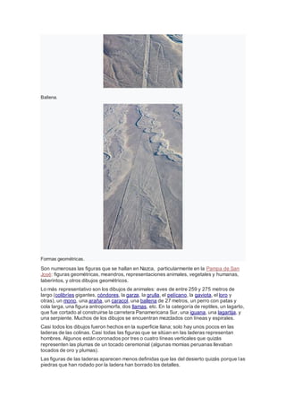 Ballena.
Formas geométricas.
Son numerosas las figuras que se hallan en Nazca, particularmente en la Pampa de San
José: figuras geométricas, meandros, representaciones animales, vegetales y humanas,
laberintos, y otros dibujos geométricos.
Lo más representativo son los dibujos de animales: aves de entre 259 y 275 metros de
largo (colibríes gigantes, cóndores, la garza, la grulla, el pelícano, la gaviota, el loro y
otras), un mono, una araña, un caracol, una ballena de 27 metros, un perro con patas y
cola larga, una figura antropomorfa, dos llamas, etc. En la categoría de reptiles, un lagarto,
que fue cortado al construirse la carretera Panamericana Sur, una iguana, una lagartija, y
una serpiente. Muchos de los dibujos se encuentran mezclados con líneas y espirales.
Casi todos los dibujos fueron hechos en la superficie llana; solo hay unos pocos en las
laderas de las colinas. Casi todas las figuras que se sitúan en las laderas representan
hombres. Algunos están coronados por tres o cuatro líneas verticales que quizás
representen las plumas de un tocado ceremonial (algunas momias peruanas llevaban
tocados de oro y plumas).
Las figuras de las laderas aparecen menos definidas que las del desierto quizás porque las
piedras que han rodado por la ladera han borrado los detalles.
 
