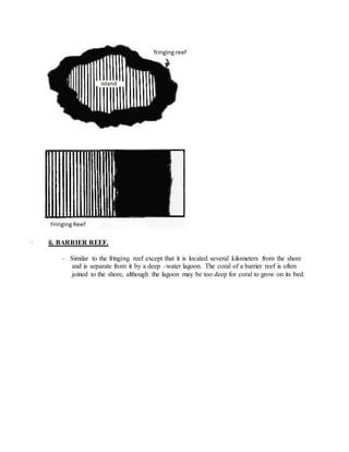 · ii. BARRIER REEF.
– Similar to the fringing reef except that it is located several kilometers from the shore
and is separate from it by a deep –water lagoon. The coral of a barrier reef is often
joined to the shore, although the lagoon may be too deep for coral to grow on its bed.
 