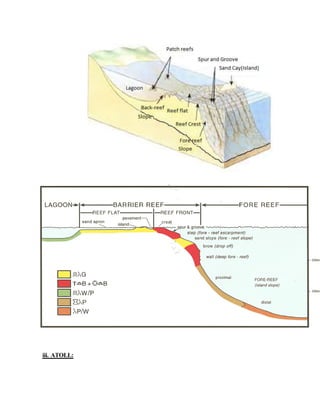 iii. ATOLL:
 