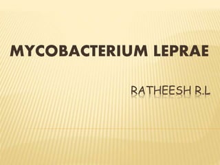 RATHEESH R.L
MYCOBACTERIUM LEPRAE
 
