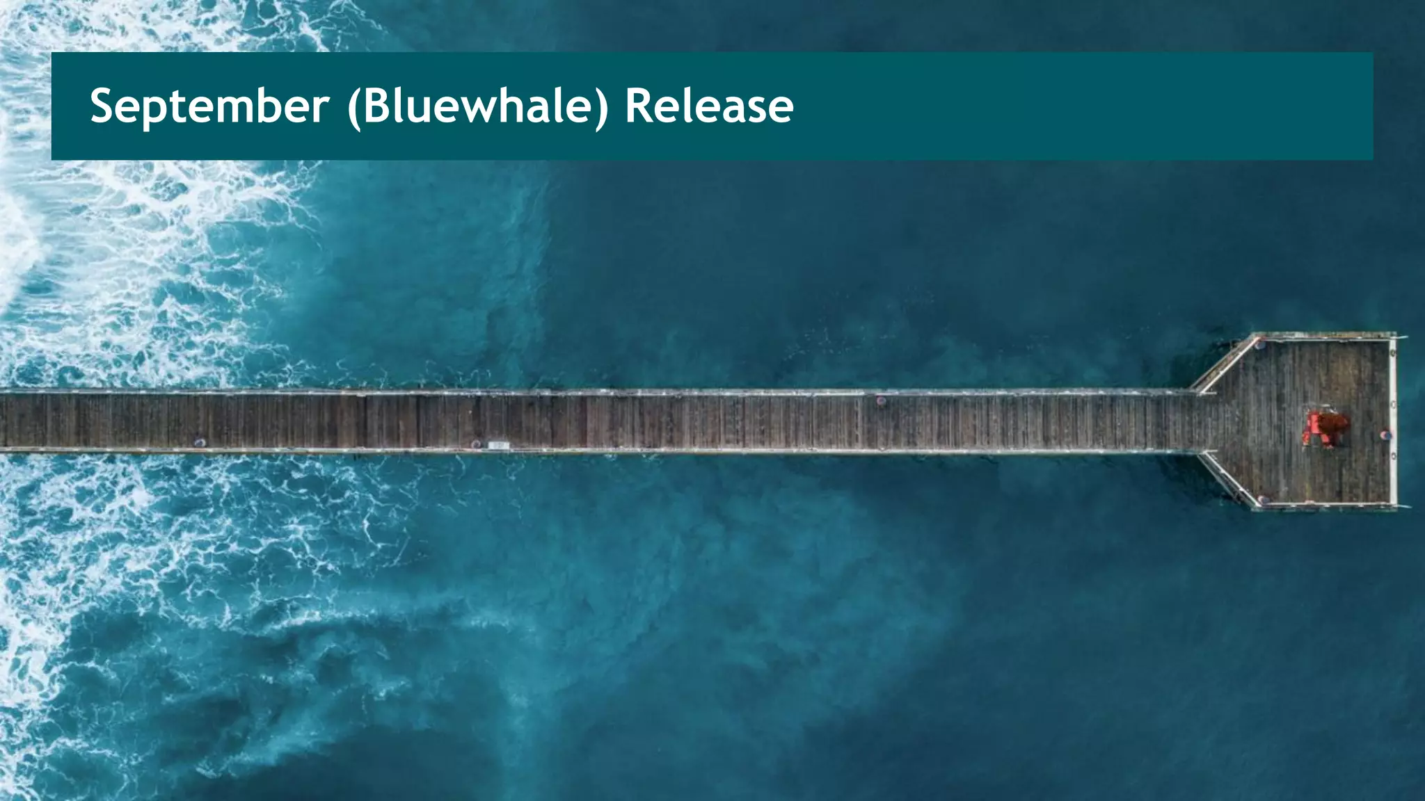 September (Bluewhale) Release
 