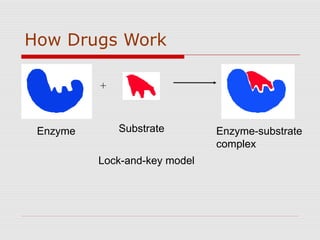How Drugs Work
SubstrateEnzyme
+
Enzyme-substrate
complex
Lock-and-key model
 