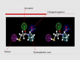 Donor Hydrophobic core
Charged negative
Acceptor
 