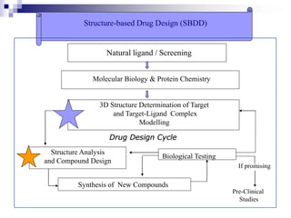 Structure-based Drug Design (SBDD)
Molecular Biology & Protein Chemistry
3D Structure Determination of Target
and Target-Ligand Complex
Modelling
Structure Analysis
and Compound Design
Biological Testing
Synthesis of New Compounds
If promising
Pre-Clinical
Studies
Drug Design Cycle
Natural ligand / Screening
 