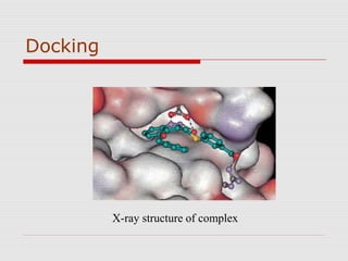 Docking
X-ray structure of complex
 