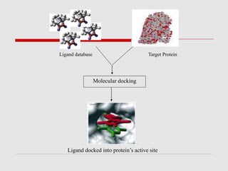 Ligand database Target Protein
Molecular docking
Ligand docked into protein’s active site
 