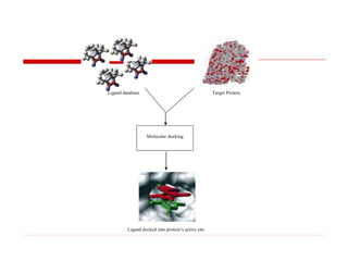 Ligand database Target Protein
Molecular docking
Ligand docked into protein’s active site
 