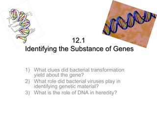 12.1
Identifying the Substance of Genes

1) What clues did bacterial transformation
   yield about the gene?
2) What role did bacterial viruses play in
   identifying genetic material?
3) What is the role of DNA in heredity?
 