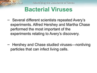 Lesson Overview     Identifying the Substance of Genes

                  Bacterial Viruses
    – Several different scientists repeated Avery’s
     experiments. Alfred Hershey and Martha Chase
     performed the most important of the
     experiments relating to Avery’s discovery.

    – Hershey and Chase studied viruses—nonliving
     particles that can infect living cells.
 