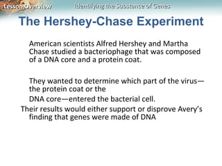 Lesson Overview     Identifying the Substance of Genes

    The Hershey-Chase Experiment
       American scientists Alfred Hershey and Martha
       Chase studied a bacteriophage that was composed
       of a DNA core and a protein coat.

       They wanted to determine which part of the virus—
       the protein coat or the
       DNA core—entered the bacterial cell.
     Their results would either support or disprove Avery’s
       finding that genes were made of DNA
 