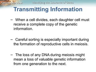 Lesson Overview    Identifying the Substance of Genes

        Transmitting Information
      – When a cell divides, each daughter cell must
       receive a complete copy of the genetic
       information.

      – Careful sorting is especially important during
       the formation of reproductive cells in meiosis.

      – The loss of any DNA during meiosis might
       mean a loss of valuable genetic information
       from one generation to the next.
 