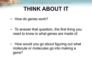 Lesson Overview     Identifying the Substance of Genes

                  THINK ABOUT IT
      – How do genes work?

      – To answer that question, the first thing you
       need to know is what genes are made of.

      – How would you go about figuring out what
       molecule or molecules go into making a
       gene?
 