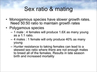 population-dynamics-ppt