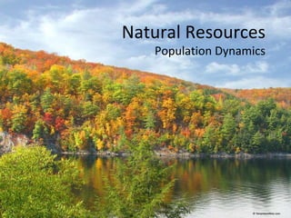 Natural Resources Population Dynamics 
