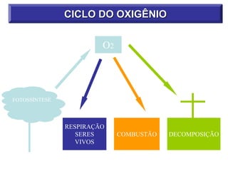 CICLO DO OXIGÊNIO
RESPIRAÇÃO
SERES
VIVOS
COMBUSTÃO DECOMPOSIÇÃO
O2