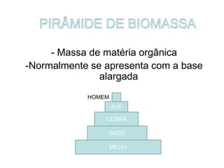 - Massa de matéria orgânica
-Normalmente se apresenta com a base
alargada
MILHO
RATO
COBRA
AVE
HOMEM