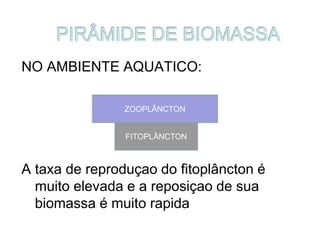 NO AMBIENTE AQUATICO:
A taxa de reproduçao do fitoplâncton é
muito elevada e a reposiçao de sua
biomassa é muito rapida
ZOOPLÂNCTON
FITOPLÂNCTON