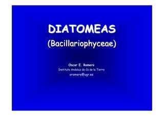 Diatomeas (Bacillariophyceae)
DIATOMEASDIATOMEAS
(Bacillariophyceae)(Bacillariophyceae)
Oscar E. Romero
Instituto Andaluz de Cs de la Tierra
oromero@ugr.es
 