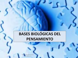 BASES BIOLÓGICAS DEL
PENSAMIENTO
BASES BIOLOGICAS DE
LA CONDUCTA
1
 