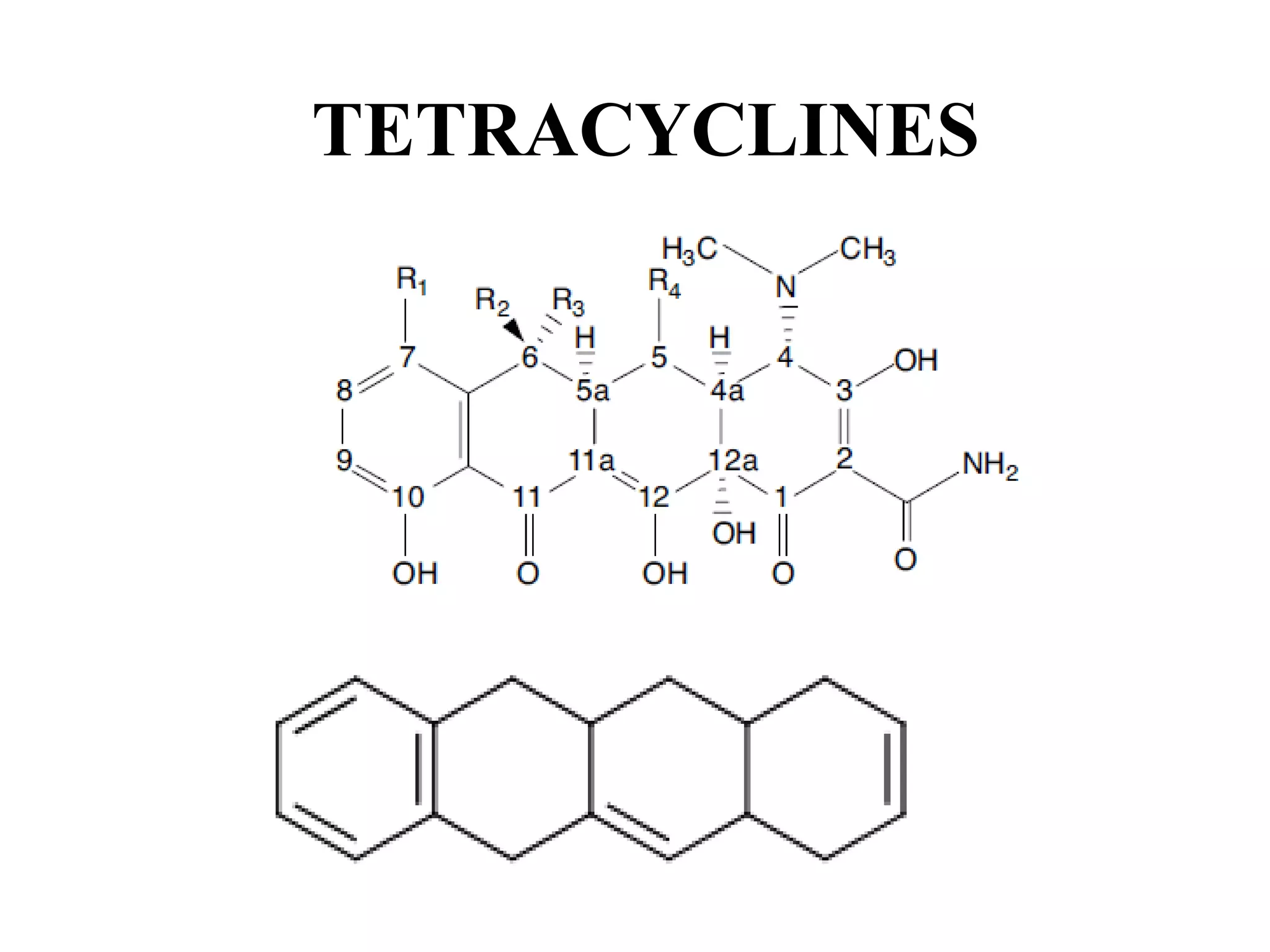 Tetracylines and Macrolide antibiotics | PDF