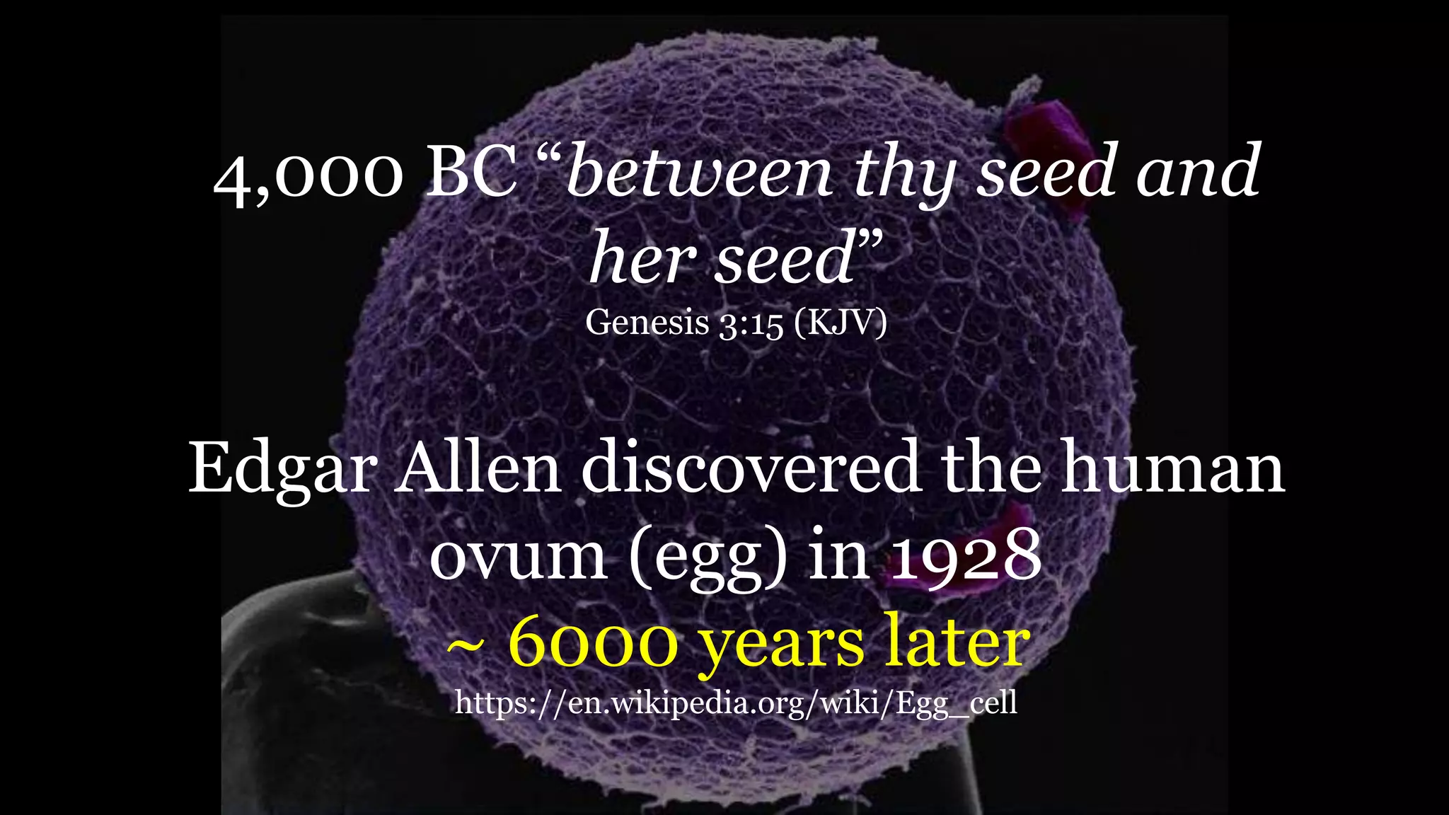 4,000 BC “between thy seed and
her seed”
Genesis 3:15 (KJV)
Edgar Allen discovered the human
ovum (egg) in 1928
~ 6000 years later
https://en.wikipedia.org/wiki/Egg_cell
 