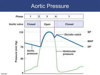 12. cardiac cycle | PPT