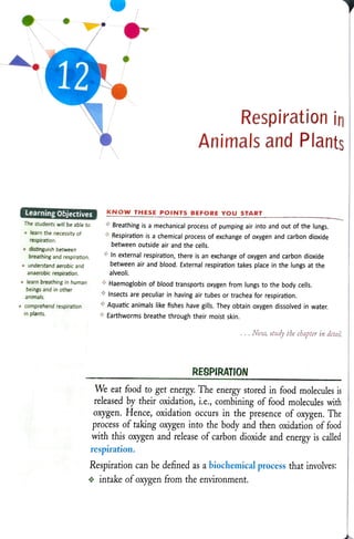 12 Respiration in
Animals and Plants
Learning Objectives KNOWTHESE PoINTS BEFORE YouSTART
The students will be able to Breathing is a mechanical process of pumping air into and out ofthe lungs.
learn the
necessity of
respiration.
Respiration is a chemical process of exchange of oxygen and carbon dioxide
between outside air and the cells.
distinguish between
breathing and respiration. In external respiration, there is an exchange ofoxygen and carbon dioxide
between air and blood. External respiration takes place in the lungs at the
alveoli.
understand aerobic and
anaerobic respiration.
learn breathing in human
beings and in other
Haemoglobinofblood transports oxygen from lungs to the bodycells
Insects are peculiar in having air tubes or trachea for respiration.
Aquatic animals like fishes have gills. They obtain oxygen dissolved in water.
animals.
Comprehend respiration
in plants. Earthworms breathe through their moist skin.
Now, study the chapter in detail.
RESPIRATION
We eat food to get energy. The energy stored in food molecules is
released by their oxidation, i.e., combining of food molecules with
oxygen. Hence, oxidation occurs in the presence of oxygen. The
processof taking oxygen into the body and then oxidation of food
with this oxygen and release of carbon dioxide and energy is called
respiration.
Respiration can be defined as a biochemical process thatinvolves:
intake ofoxygen from the environment.
 