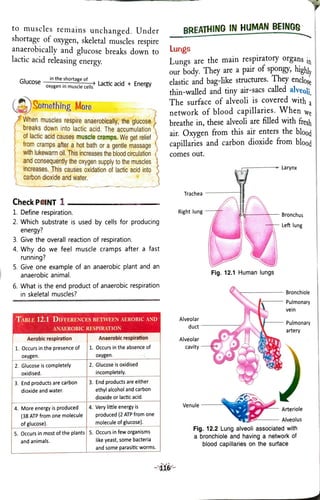 Class 7 Respiration | PDF