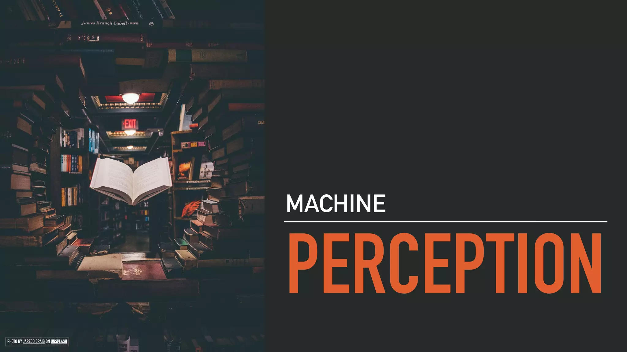PERCEPTION
MACHINE
PHOTO BY JAREDD CRAIG ON UNSPLASH
 