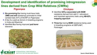 Research Program Genetic Gains (RPGG) Review Meeting 2021: Pre-breeding By Dr Hima Bindu K