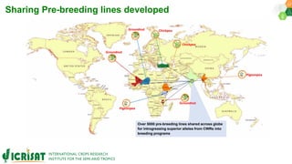 Research Program Genetic Gains (RPGG) Review Meeting 2021: Pre-breeding By Dr Hima Bindu K