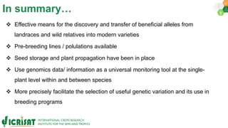 Research Program Genetic Gains (RPGG) Review Meeting 2021: Pre-breeding By Dr Hima Bindu K